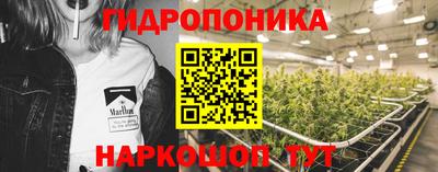 прущие крисы Гусев