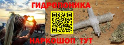 прущие крисы Гусев
