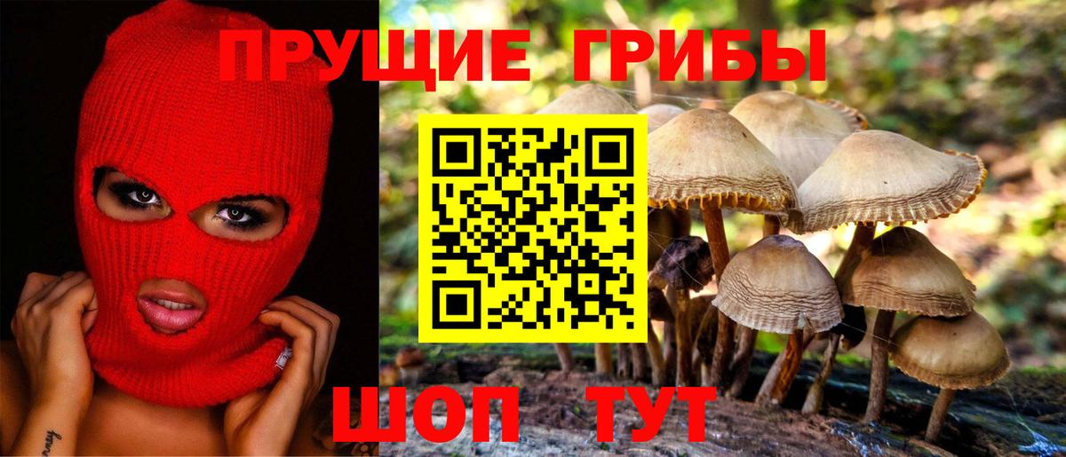 Верхняя Салда  Псилоцибиновые грибы MAGIC MUSHROOMS  Вход с VPN 